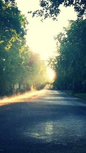 蜘蛛池程序测评截图1