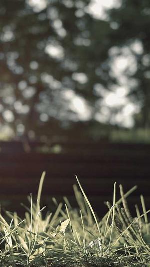 泛目录在线生成截图3