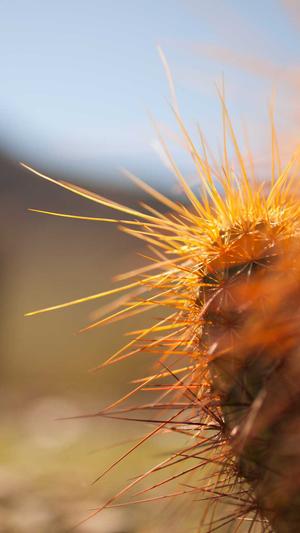 搜狗泛目录系统截图1