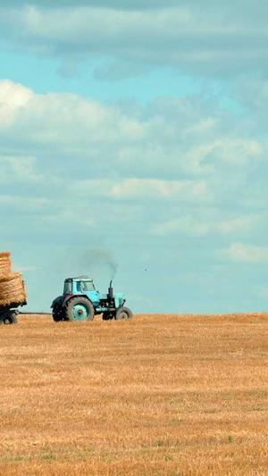 泛目录站群怎么解析截图3