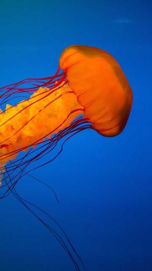 蜘蛛池快速推广截图2