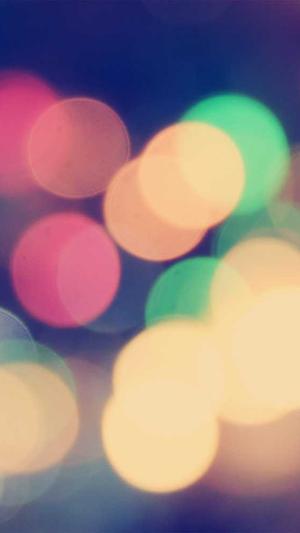 泛目录seo 资源截图2