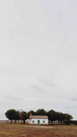 新站能用蜘蛛池吗截图3