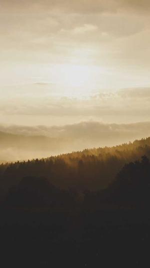 黑帽子蜘蛛池截图2