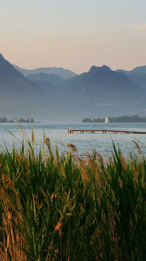 seo网络公司截图4