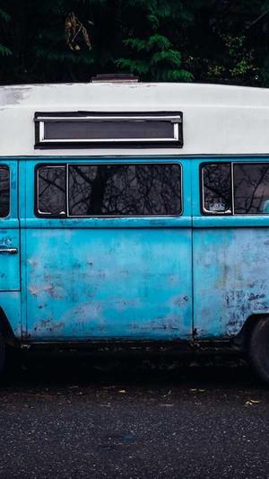 蜘蛛池登录截图2