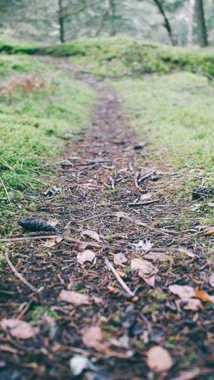 泛目录是什么截图3