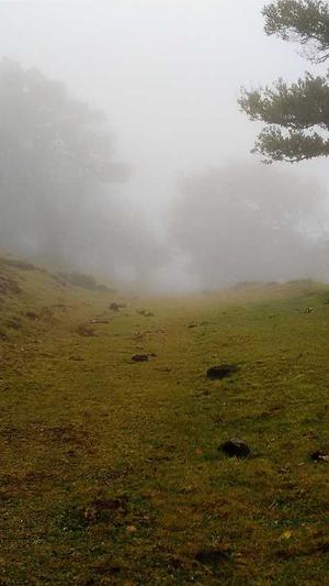 外推蜘蛛池软件截图2