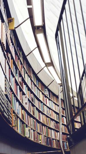 网络seo优化截图1