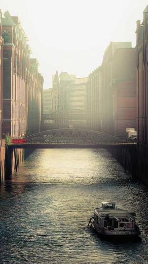 蜘蛛池的关键词截图2