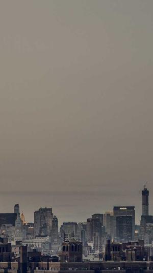 蜘蛛池出租服务选哪家截图1