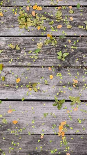 零距离泛目录营销截图3