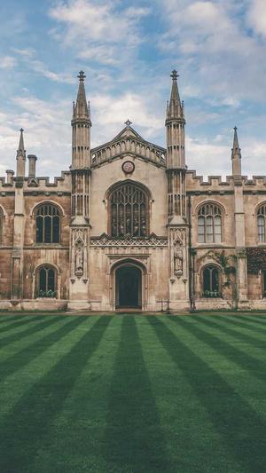 百度蜘蛛池怎么弄的截图4