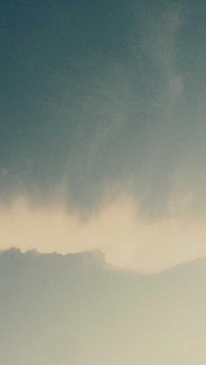 搜狗蜘蛛池有哪些网站截图3