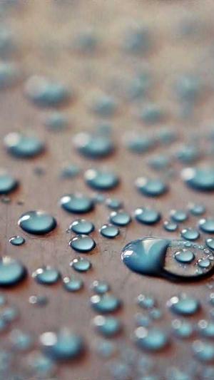 泛目录排名代发截图1