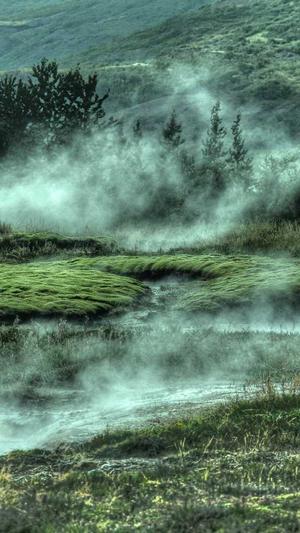 搜狗泛目录站群代发截图3