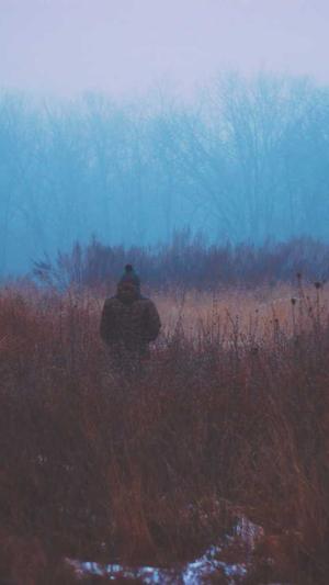 蜘蛛池蜘蛛越来越少截图2