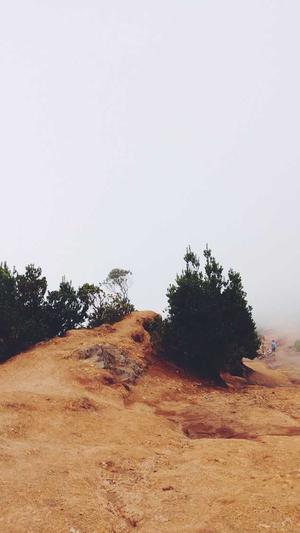 蜘蛛池刷排名需要多久截图4