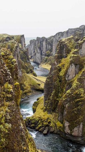 排名软件蜘蛛池截图3