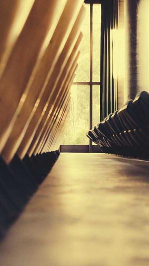 阿里蜘蛛池v5破解版截图2