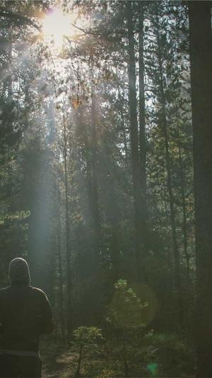 泛目录二站成仙截图1