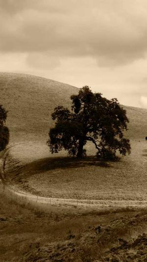 蜘蛛池免费测试截图2